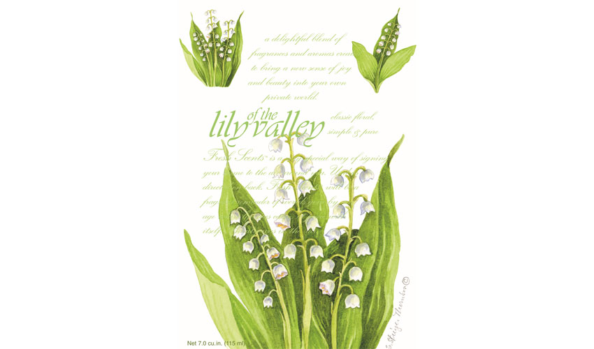 Lily of the Valley